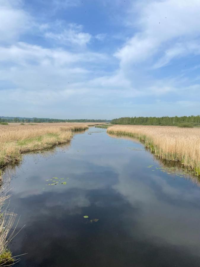 Auszeit Am Federsee Bad Buchau Extérieur photo